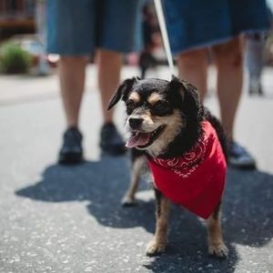 Meet your Posher, Sharon